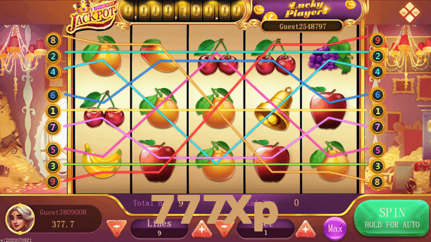 777Xp interface sample